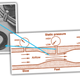 Illustration for article titled Quick Question: Car Detailing Tool Or Suicide Device?